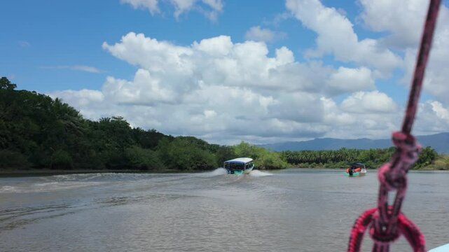 Lush Tropical Landscape Along the Sierpe River, Costa Rica - from a shuttle boat, ferry