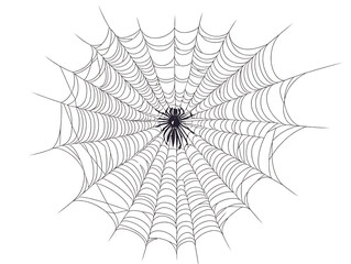 Fototapeta premium Intricate spiderweb detail. Halloween, nature.