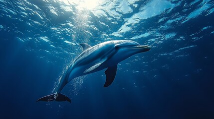 Naklejka premium A dolphin swimming gracefully in the deep blue ocean gliding through sunbeams. Generative AI
