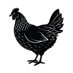 hen silhouette isolate on white background