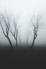 Fototapeta premium Eerie Foggy Forest with Bare Trees Creating a Spooky and Atmospheric Landscape
