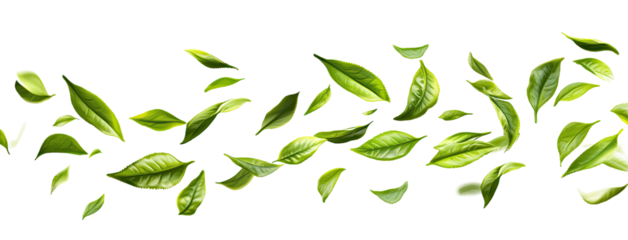 Lush green leaves swirling in the air, creating a dynamic natural scene with soft sunlight, green tropical plants