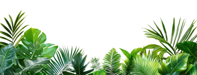 Lush green tropical foliage framing a serene outdoor scene with soft sunlight filtering through, green tropical plants