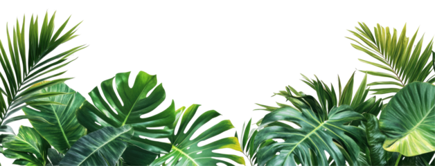 Lush tropical foliage framing a serene outdoor scene with vibrant greenery and soft sunlight, green tropical plants