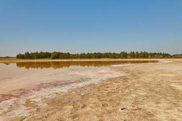Shallow Salt Lake with Forest Reflection