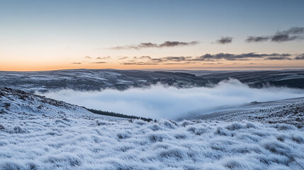 Obraz premium Serene winter landscape with frost covered grass and misty valley sky cold calm dawn blue cold view
