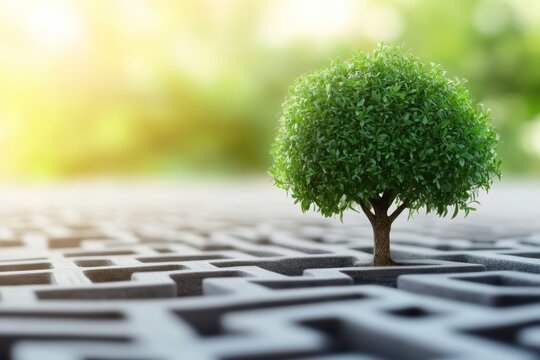 The image shows a small tree growing in the center of a maze, symbolizing growth and clarity amid complexity. The warm, soft lighting in the background adds a sense of hope and possibility.