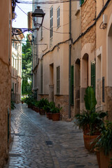 Soller Alley: Cobbled Street Charm