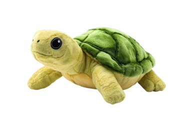 A soft, cuddly turtle plush toy resting on a bright white surface in a cozy playroom isolated on transparent background