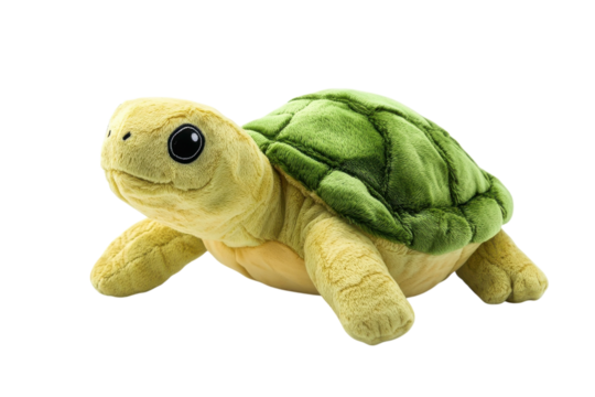 A soft, cuddly turtle plush toy resting on a bright white surface in a cozy playroom isolated on transparent background