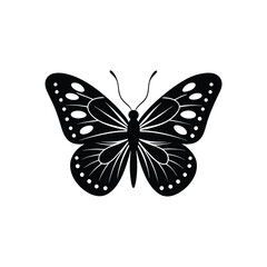 butterfly silhouette on white background.Elegant black and white monarch butterfly illustration.