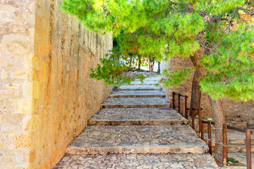 Fototapeta premium Scenic Stone Steps Nestled Beneath Lush Green Trees in a Beautiful Natural Landscape