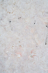 Close-up shot of Cream marble textured wall