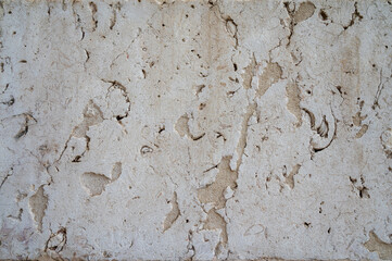 Close-up shot of Cream marble textured wall