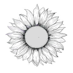 Fototapeta premium Detailed sunflower tattoo design featuring intricate petals and a textured center in black-and-white style 
