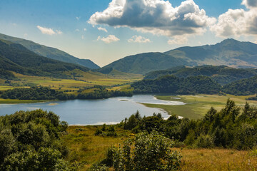 Breathtaking panoramic view of lake field with mountains and lush vegetation in the background