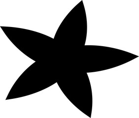 vector illustration of a black star