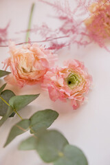 Pink ranunculus and eucalyptus