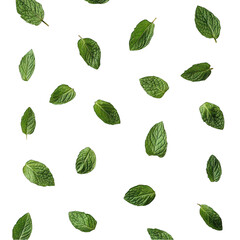 Falling Leaves: Green Leaf Background