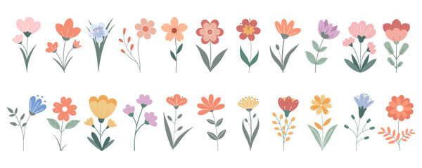 Set of cute hand drawn wildflowers. Beautiful floral set. Flat illustration 