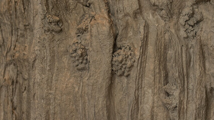 Detail of grey paint texture