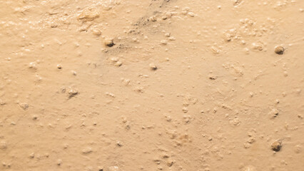 Cream-coloured paint texture detail