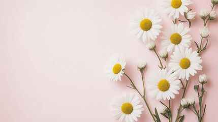 Obraz premium Elegant pink background with white flowers in the corners, creating a minimalist and stylish design. Perfect for a web banner with ample copy space on the right side.