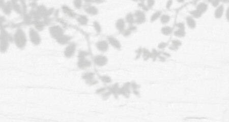 Glare from the sun's rays on the wall. Blurred shadows from leaves and plants in the room. Soft overlay of natural light. Abstract background for product presentation.Natural light layout.