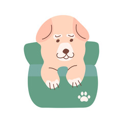 A purebred Samoyed puppy sits in a basket and smiles. Cute vector illustration of a pet dog. Packaging design of dog products, stickers, and postcards.