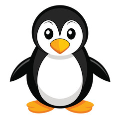 penguin on a white background