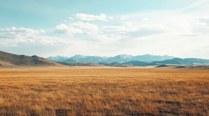 Fototapeta premium Golden grassland stretches towards distant mountains under an expansive sky