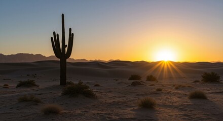 Cactus silhouetted against a stunning desert sunrise with golden rays illuminating the sandy dunes and distant mountains