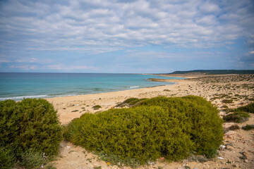 Fototapeta premium A wild, untouched beach on the northern coast of Cyprus, known as a nesting site for sea turtles. The image captures the pristine beauty of nature and the fragile ecosystem of marine wildlife