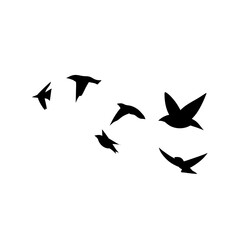 Flying birds silhouettes
