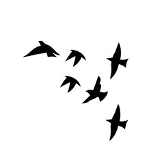 Flying birds silhouettes
