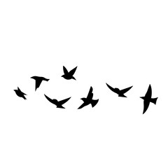 Flying birds silhouettes
