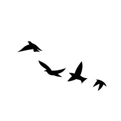 Flying birds silhouettes
