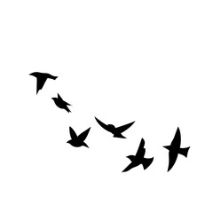 Flying birds silhouettes
