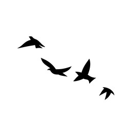Flying birds silhouettes
