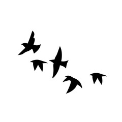 Flying birds silhouettes
