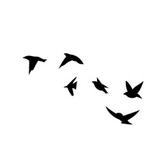 Flying birds silhouettes
