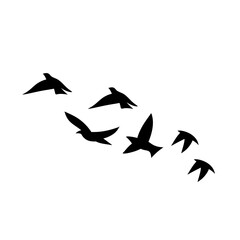 Flying birds silhouettes
