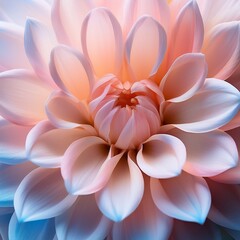 Fototapeta premium A close-up shot of soft, pastel-colored flower petals in full bloom. The delicate textures of the petals and the gentle light create a romantic, calming, and visually appealing aesthetic that conveys 