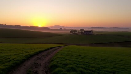 Fototapeta premium sunrise over the field