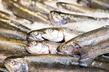 A large pile of freshly frozen fish on a store counter.