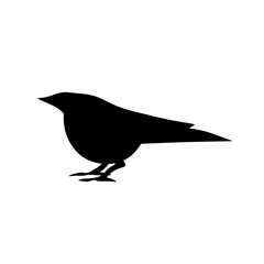 bird silhouettes vector
