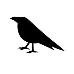 bird silhouettes vector
