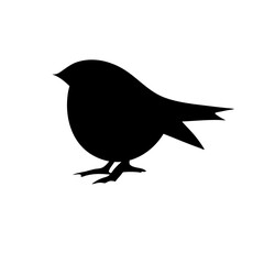 bird silhouettes vector
