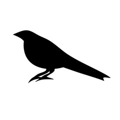 bird silhouettes vector

