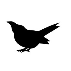 bird silhouettes vector
